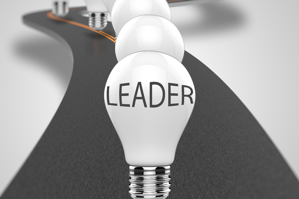 LEADERSHIP DEVELOPMENT
